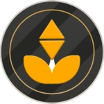 Logo of B Gold Network android Application 